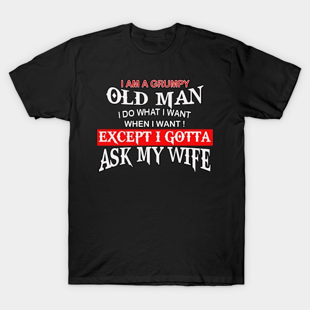 I Am A Grumpy Old Man I Do What I Want Except Ask My Wife Costume T-Shirt by prunioneman